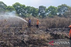 Update Karhutla Cianjur hari ini: lima titik kebakaran di 3 kecamatan