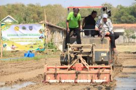 Rembang terapkan metode tanam PM-AAS dengan harapan dongkrak produktivitas padi