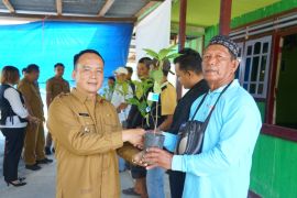 Bulungan salurkan ribuan bibit sawit dan kakao kembangkan pertanian
