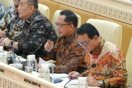 Mendagri: Pemerintah memperkuat penataan PPPK lintas profesi