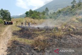 BPBD Kuningan padamkan kebakaran seluas empat hektare di TNGC