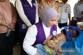 Gerakan Posyandu Aktif Paluta sasar 12 kecamatan