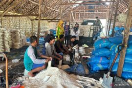 Pemkab catat produksi garam Lamongan 1.317 ton hingga Agustus
