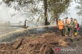 Satgas Karhutla Jambi uji coba zat khusus pemadam api di lahan gambut