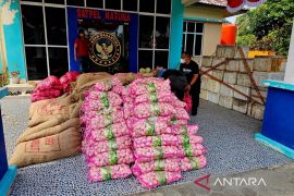Karantina Kepri bina delapan pedagang Natuna langgar aturan