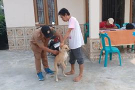 Distankan Rejang Lebong gelar vaksinasi massal hewan penular rabies