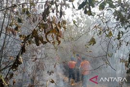 Karhutla di tiga desa Muara Enim berhasil dipadamkan