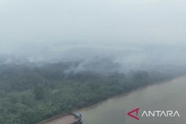 Kualitas udara Samarinda memburuk masuk kategori sangat tidak sehat