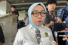 ESDM tarik investor untuk kembangkan pembangkit listrik dari angin