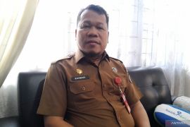 DPMD Tapin siapkan sistem digital awasi kinerja desa