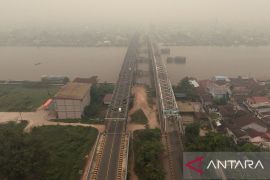 WALHI soroti lonjakan ISPA dampak Karhutla Kalbar