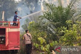 BPBD Pangkalpinang tangani 56 kejadian karhutla