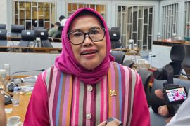 Anggota DPR dukung penindakan tegas pelanggaran beras fortifikasi