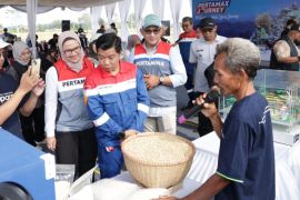 Pertamina kembangkan Desa Energi Berdikari di Cilacap