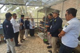 DKP3 Kota Cirebon mengubah lahan bekas TPS jadi lokasi penghasil pangan