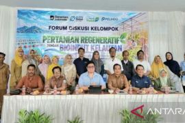Pelindo mengkaji pemanfaatan rumput laut untuk pertanian Sumbawa Barat