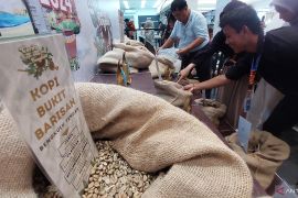 Langkah UMKM kopi Bengkulu menuju pasar global