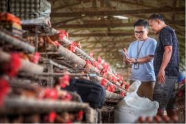 Indeks Bisnis UMKM BRI Triwulan II 2026 tunjukkan ketahanan dan optimisme