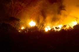 Tim gabungan padamkan kebakaran hutan-lahan di Tojo Una-Una