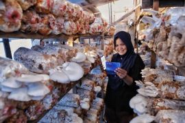 BRI: Prospek bisnis UMKM pada Q3 masih tunjukkan arah yang positif