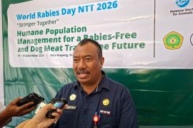 Pemkot Kupang percepat vaksinasi anjing untuk tekan rabies