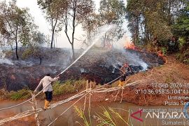 Polisi Sumsel pakai Formula X-Fire untuk pendinginan karhutla