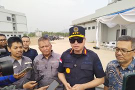Imigrasi buka peluang pidanakan WNA terkait penyu Raja Ampat