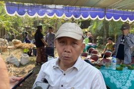 Pemkab Bantul belum menemukan merek beras fortifikasi culas di pasaran