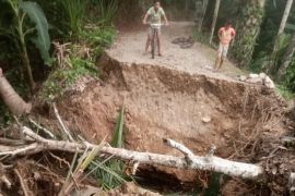 Diterjang banjir, Jembatan akses ke perkebunan di Tangan-Tangan Abdya putus