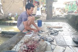 Diskan Mataram melatih pembudidaya buat pakan mandiri berbasis limbah