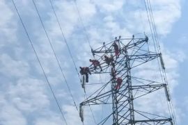 Tanpa Pemadaman, PLN Jaga Keandalan Pasokan Listrik melalui Penggantian Isolator Transmisi