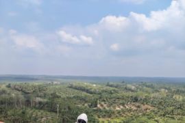 Gerak cepat Tim PDKB PLN atasi Hotspot SUTET tanpa padam, keandalan listrik masyarakat tetap terjaga