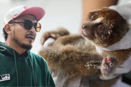 PT Timah - Alobi perkuat penyelamatan satwa endemik Babel korban karhutla