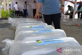 Bantuan benih ikan nila tingkatkan ekonomi warga Sulawesi Tengah