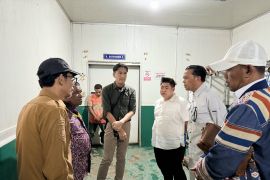 Pemprov Papua terus fokus kembangkan potensi ekonomi sektor perikanan
