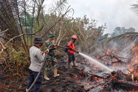 Bersatu padamkan Karhutla, PT Arara Abadi gandeng TNI/Polri dan masyarakat di Mempura-Siak