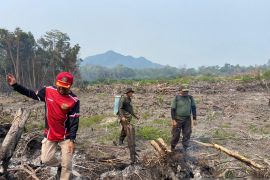 Satgas Karhutla Bangka ajak masyarakat awasi hutan konservasi Gunung Maras