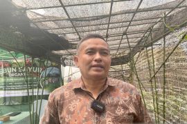 Indonesia boosts local crowd action to accelerate SDG progress