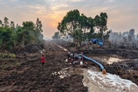 Dukung pencegahan karhutla, PT RHM lakukan pembasahan lahan gambut di musim kemarau