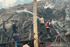 Satgas karhutla padamkan dua hektare lahan terbakar di OKU Selatan