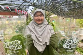 Pangan organik dari Malang; membangun ekosistem untuk rantai kehidupan