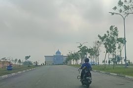 Terdeteksi 2.056 titik panas di Pulau Sumatera, Riau hanya 22 namun berasap