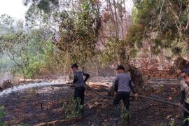 Polres Biak kerahkan personel lakukan penyuluhan guna cegah kebakaran hutan