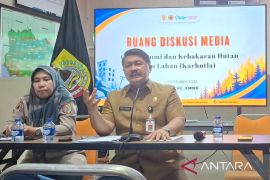 BPBD catat 72 kejadian karhutla di Jember selama kemarau
