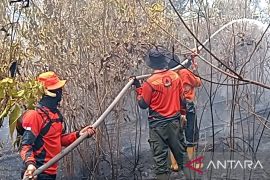 Satgas BPBD lanjutkan pemadaman karhutla di Gunung Megang Muara Enim