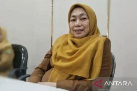 149.069 pencaker di Karawang manfaatkan bursa kerja online
