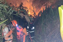 Karhutla hanguskan tiga hektare lahan di Candi Laras Selatan