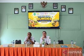 BUMDesa Tapin sumbang Rp581,54 juta untuk PADes