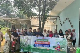 Microgreens: Inovasi dosen UNJA untuk cegah stunting di desa
