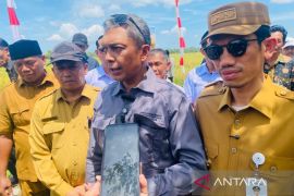 Pemerintah percepat pemulihan 57 ribu Ha lahan sawah rusak di Aceh